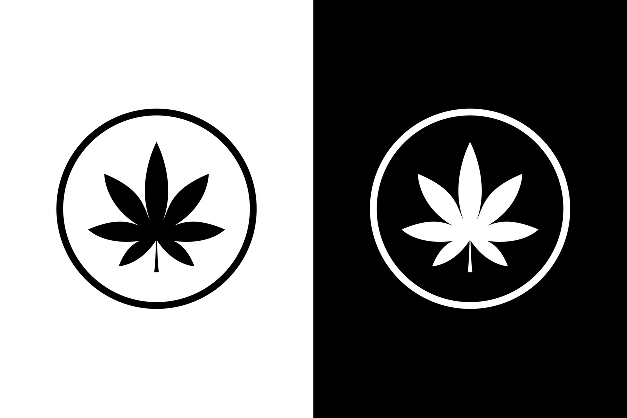 Indica et sativa : les différentes plantes de cannabis