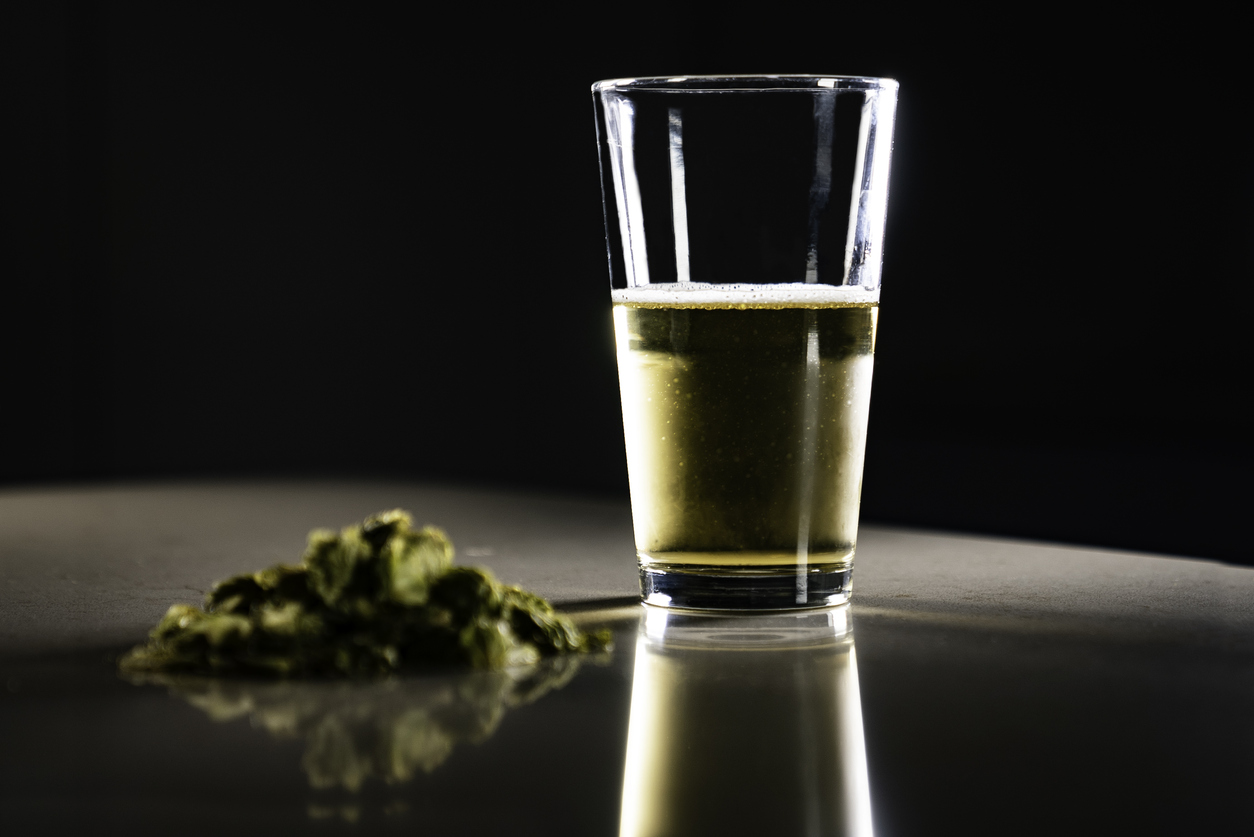 Le cannabis médical : réduire la consommation d’alcool et de drogues