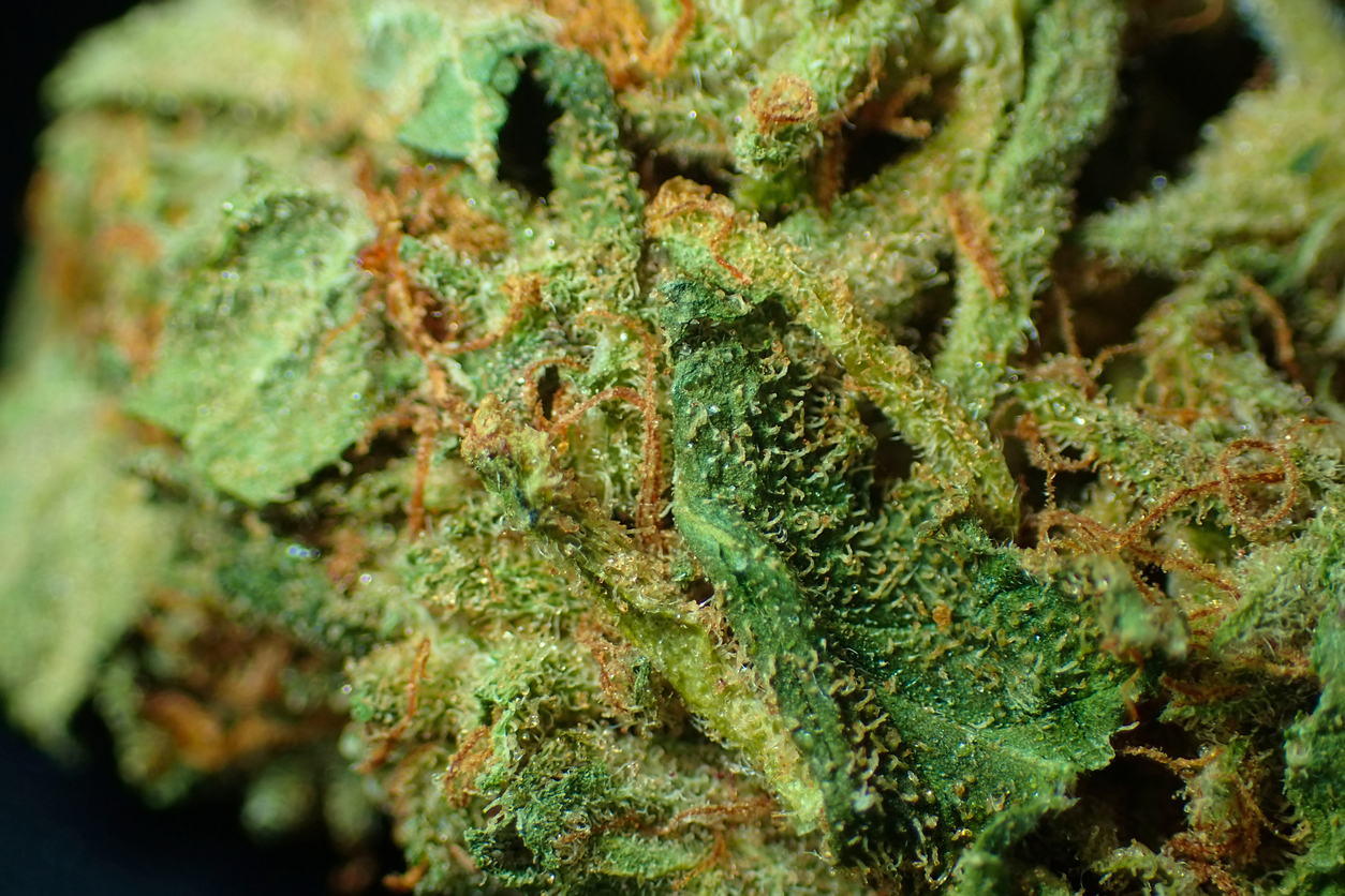 Medical Cannabis and Dry Mouth: Why Does This Effect Occur?